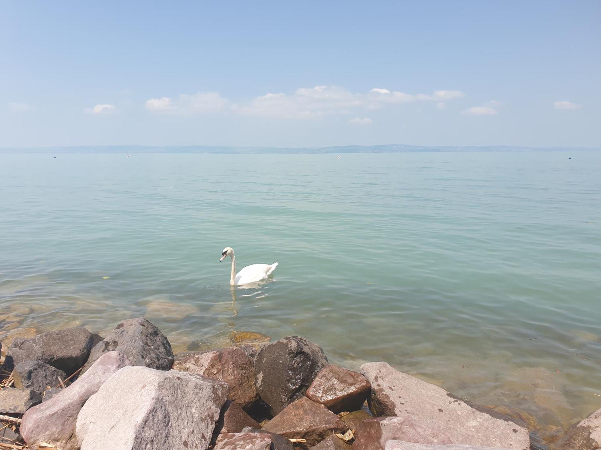 Balaton Lakeside Residence Siófok Exteriör bild